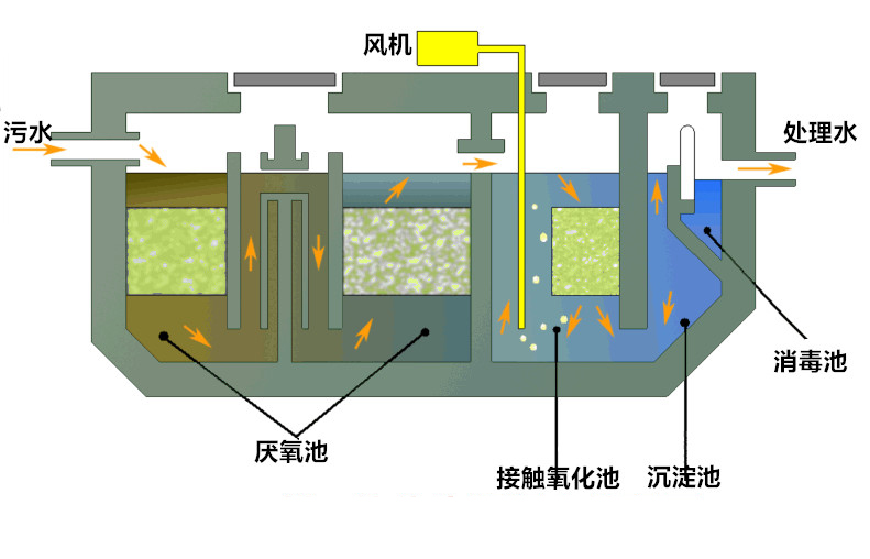 5c774268b5773.jpg 2_1452860477_1254.jpg